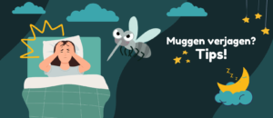 Muggen in slaapkamer